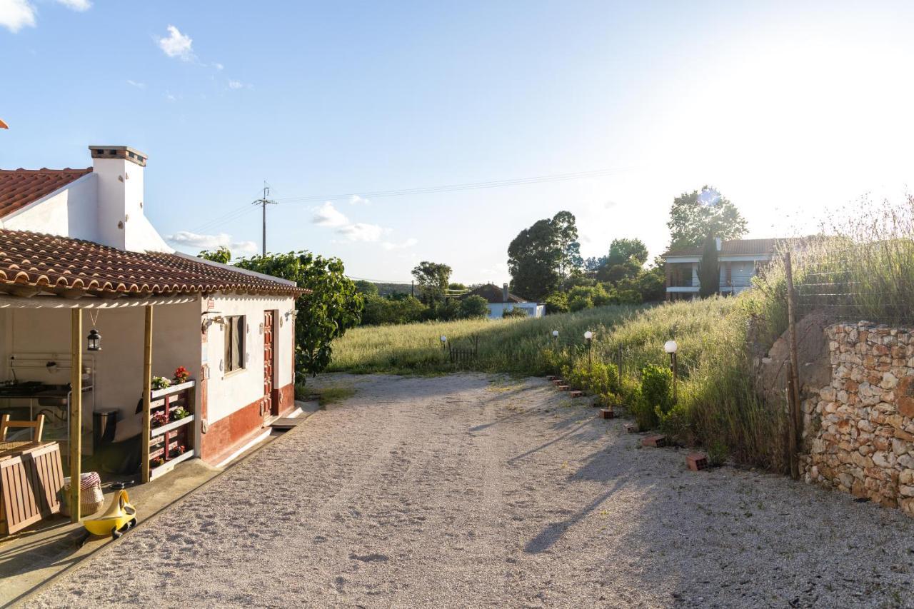 Avo Rosa Guesthouse São João da Ribeira Zewnętrze zdjęcie