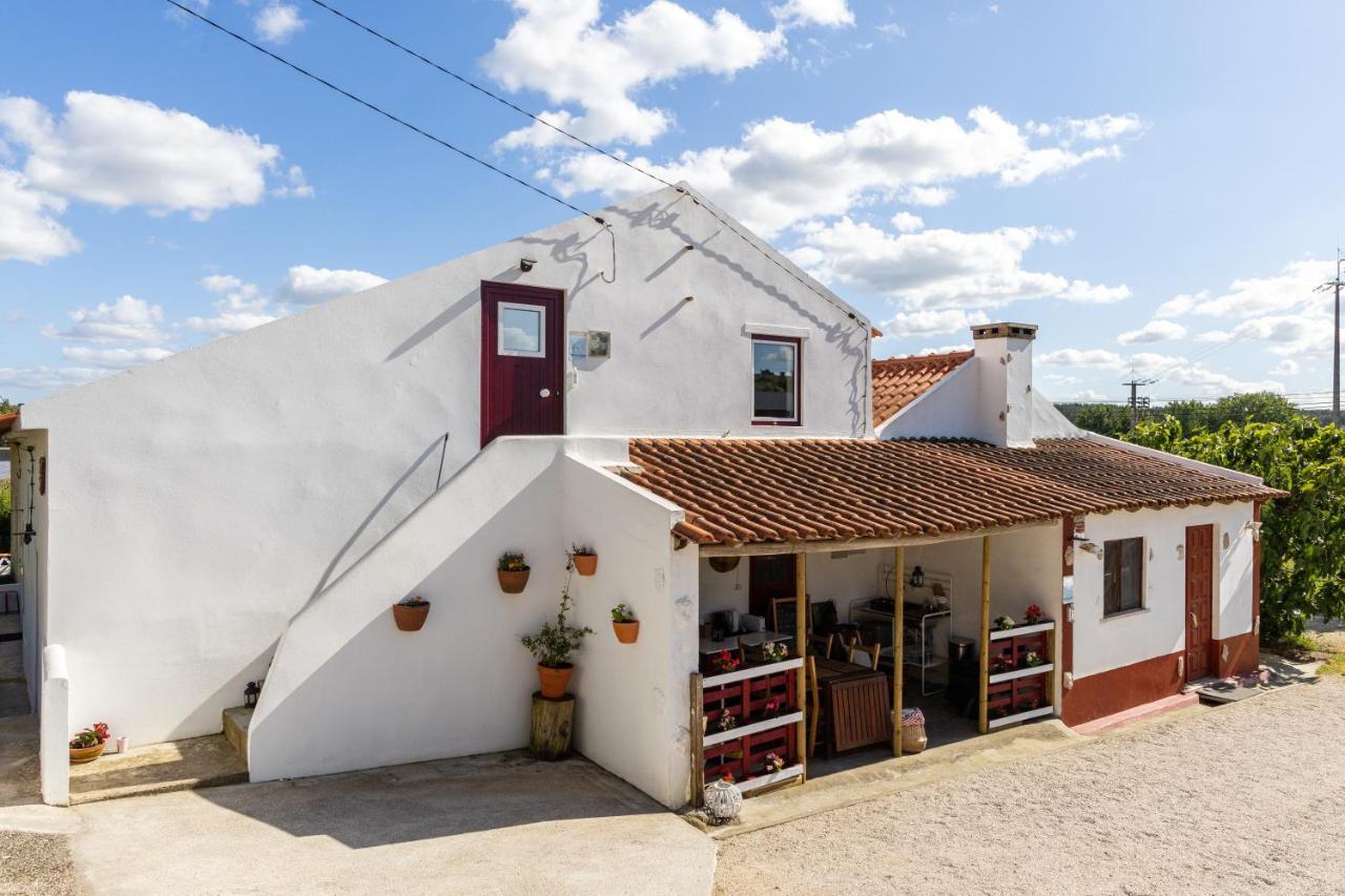 Avo Rosa Guesthouse São João da Ribeira Zewnętrze zdjęcie