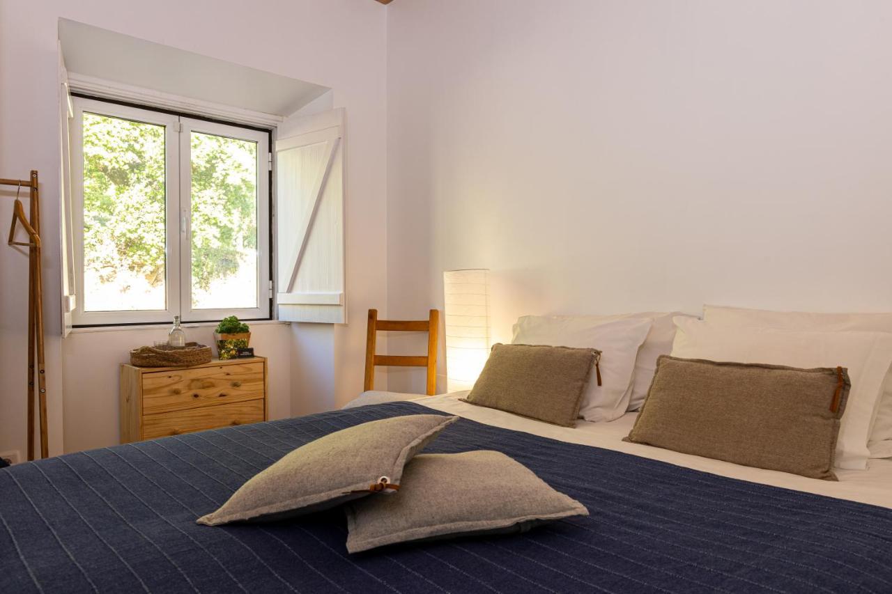 Avo Rosa Guesthouse São João da Ribeira Zewnętrze zdjęcie