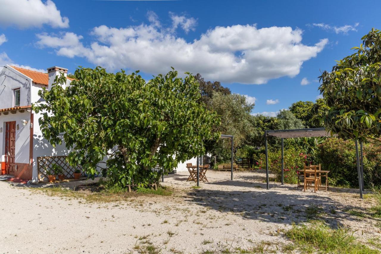 Avo Rosa Guesthouse São João da Ribeira Zewnętrze zdjęcie