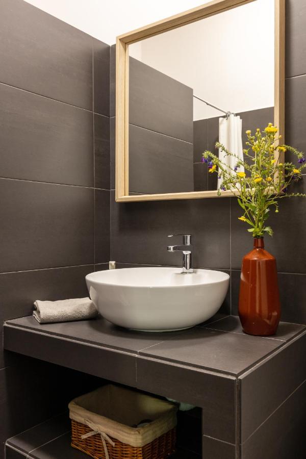 Avo Rosa Guesthouse São João da Ribeira Zewnętrze zdjęcie